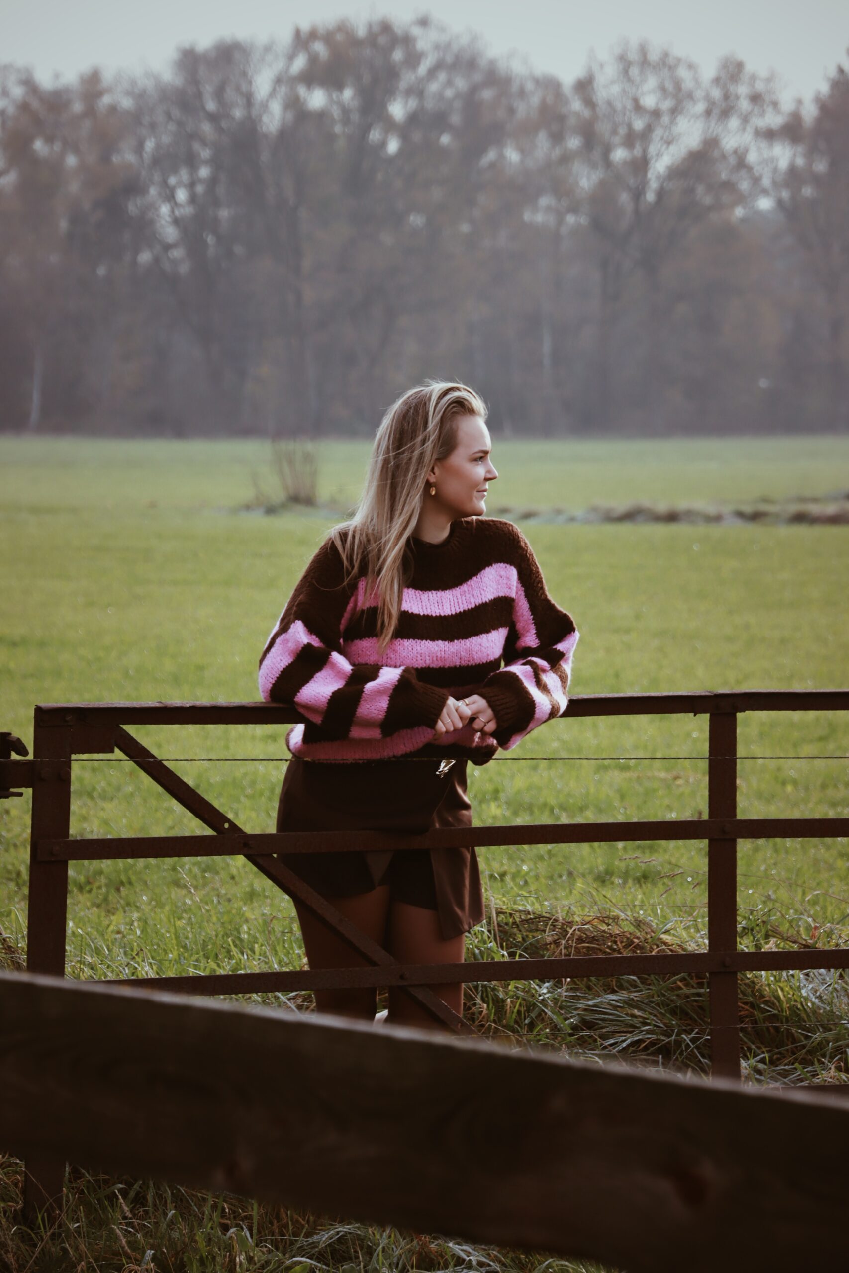 Streep Trui - Bruin/Roze